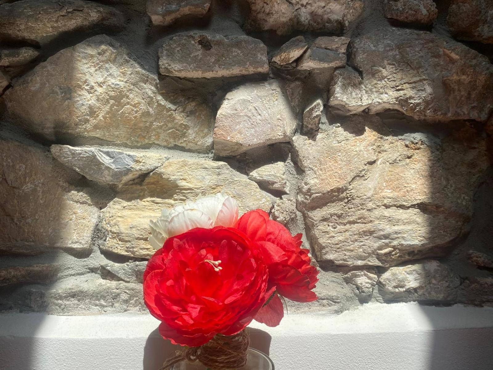 Finale Ligure Gorra Rosa Di Mare Vicino Al Mare Lontano Dal Caos! Gasthof