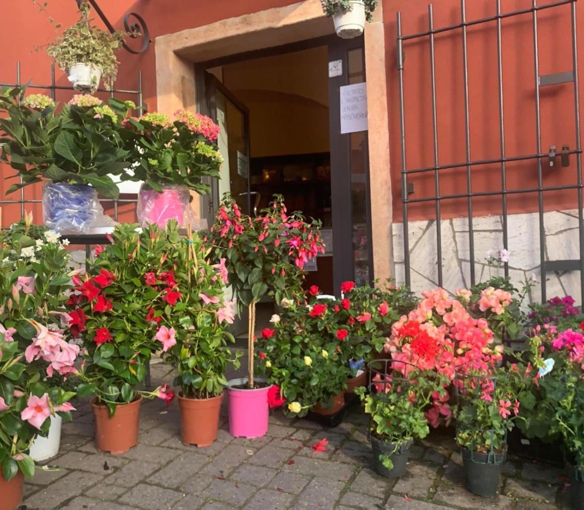 Gasthof Finale Ligure Gorra Rosa Di Mare Vicino Al Mare Lontano Dal Caos! Borgio Verezzi